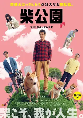 伊人激情视频