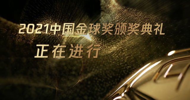 国产精品91在线观看