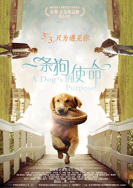 亚洲一区二区三区免费观看