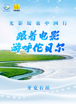 我妻子的妹妹