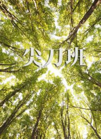 好看的爱情动漫