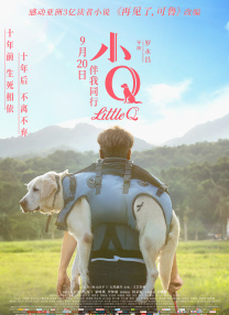 国内亚州视频在线观看