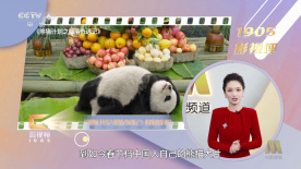 五月亭亭六月丁香